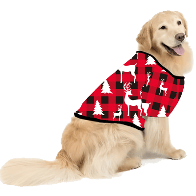 How Snowflakes Are Really Made Matching Christmas Family Pajamas