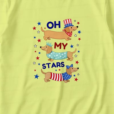 Patriotic Family Matching Pajamas Oh My Stars Dachshund Long Sleeve Set